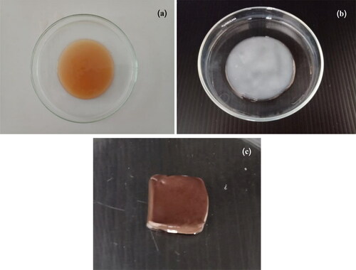 Figure 5. Imagery of BC (a) before and (b) after NaOH treatment. (c) BC-AgNP nanocomposite sample prepared via a wet process.