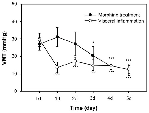 Figure 2 Visceral hyperalgesia phenomena following colon inflammation and morphine treatment.