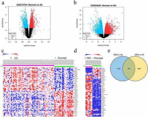 Figure 1. A Volcano plots showing DEGs in GSE73754 and b GSE94683 microarray datasets. c Heatmaps and hierarchical clustering analysis of the top 50 DEGs in GSE73754 and d GSE94683. e Genes with adjusted P-value < 0.05 and |log2 fold change (FC)| > 0.2 are identified as DEGs. Red indicates up-regulation and blue indicates down-regulation. Venn diagram depicting 355 overlapping DEGs identified between GSE73754 and GSE94683 datasets