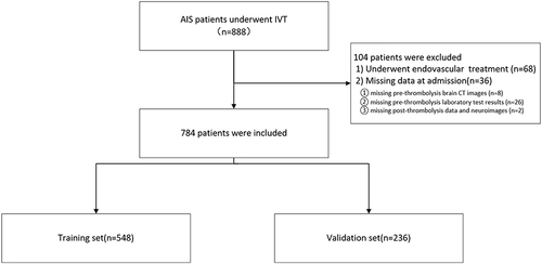 Figure 1 Flow chart of patient inclusion.