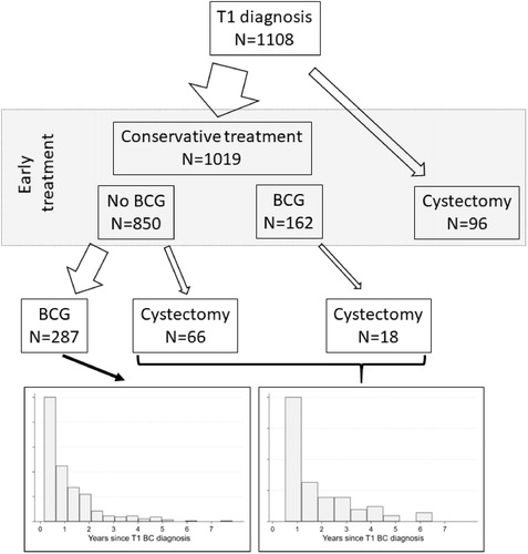 Figure 1. Early and delayed treatment for T1 BC patients. Treatments considered are conservative treatments with and without BCG and RC. The histograms show the distribution of time since diagnosis of the respective delayed treatments.