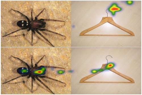 Figure 1. Example of a spider – neutral pair as Heat Maps without (top) and with (bottom) placebo from one participant.