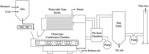 Figure 1. Schematic diagram of chain-grate steam boiler system for co-firing process.