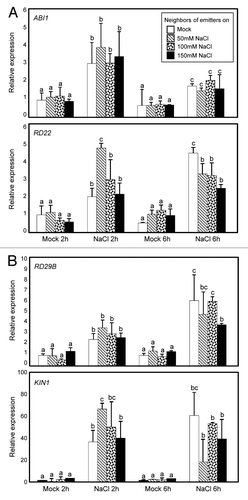 Figure 2. Effects of high salt-elicited plant VOCs on transcript accumulation of salt-responsive genes in neighboring plants. Two-week-old receiver plants grown with emitter plants exposed to different concentrations of high salt were transferred to MS-liquid medium supplemented with 150 mM NaCl and incubated for up to 6h. Transcript accumulation of ABA- (A) and salt-responsive (B) genes was analyzed by quantitative RT-PCR (qRT-PCR). Biological triplicates were averaged. Different letters represent a significant difference at P < 0.05 (oneway ANOVA with Fisher’s post hoc test). Bars indicate standard error of the mean.