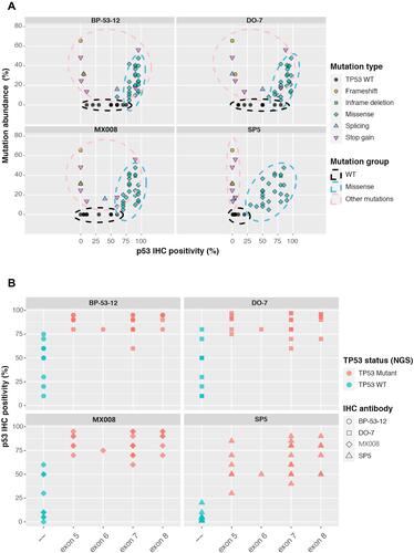 Figure 3 Characterizing different p53 IHC antibodies. (A) The relationship between the TP53 mutated allele frequency and p53 IHC positivity for 4 commonly used p53 antibodies, including SP5, MX008, BP-53-12, and DO-7. Each dot represents a TP53 genetic change from the 42-patient cohort. (B) p53 IHC positivity in different TP53 exon regions for the 4 tested p53 IHC antibodies. Based on the NGS results, TP53 WT samples were shown in green while samples harboring TP53 missense mutations were shown in red. WT, wild type.