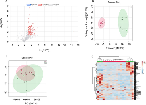 Figure 7 Analysis of DEPs between simple OME and group and radiotherapy-reduced OME group. (A) Volcano plot. Sig.Down[1], the number of significantly downregulated protein is 1; Sig.Up[119], the number of significantly upregulated protein is 119; Unsig.[311], the number of proteins with no significant changing trend is 311. Red dots refer to upregulate protein and blue dot refers to downregulate protein. Gray dots represent for proteins which show no significant changing trend. (B) PLS-DA and (C) PCA, simple OME samples are in red while radiotherapy-reduced OME samples are in green. (D) Heatmap for DEPs. Group 1(red) represents for simple OME group, group 2(green) represents for radiotherapy-reduced OME group.