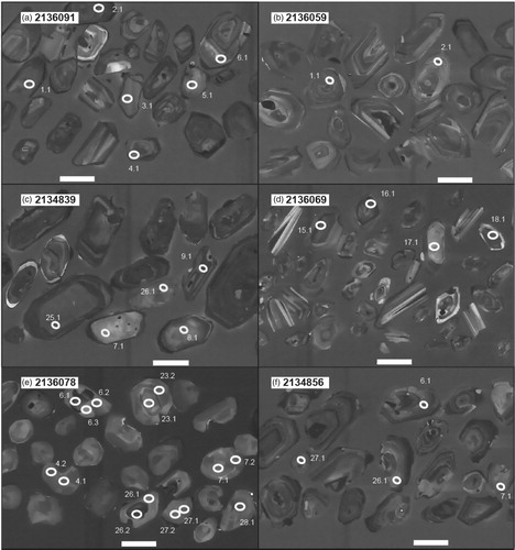 Figure 6. Representative zircon CL images for samples analysed in this study. (a) Sample 2136091. (b) Sample 2136059. (c) Sample 2134839. (d) Sample 2136069. (e) Sample 2136078. (f) Sample 2134856.