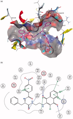 Figure 4. (a) Molecule 10 in the β5 active site. (b) Schematic view of the interactions between the receptor and the docked molecule.