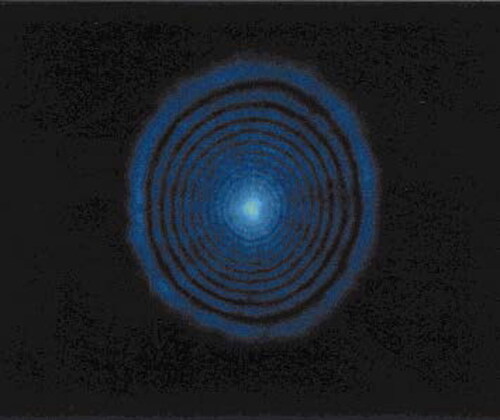 Figure 4. Typical diffraction rings observed in a TR5-doped 5CB system. Reprinted with permission from Zhang et al. [Citation43].