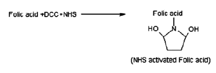 Scheme 1. Preparation of N-Hydroxy succinimide (NHS) ester of folic acid.