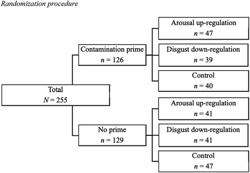 Figure 1. Randomization procedure