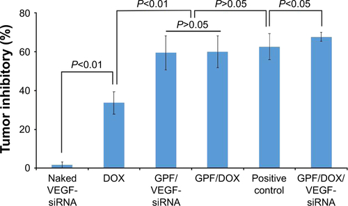 Figure S2 The tumor inhibitory rate of blank control, naked VEGF-siRNA, DOX, GPF/VEGF-siRNA, GPF/DOX, and GPF/DOX/VEGF-siRNA (n=10).Abbreviations: DOX, doxorubicin; GO, graphene oxide; GPF, GO-poly-l-lysine hydrobromide/folic acid; siRNA, small interfering RNA; VEGF, vascular endothelial growth factor.