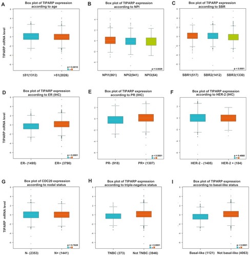 Figure 3 Box plot evaluating TIPARP expression among different groups of patients based on clinical parameters using the bc-GenExMiner 4.2. Analysis is shown for (A) age, (B) NPI index, (C) SBR grade, (D) ER, (E) PR, (F) HER-2, (G) nodal status, (H) triple-negative status and (I) basal-like status.