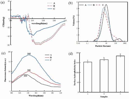 Figure 3. Circular dichroism (a), particle size (b), intrinsic fluorescence intensity (c) and surface hydrophobicity (d) of sunflower seed protein. (A) sunflower seed protein, (B) macroporous resin adsorption decolorization of sunflower seed protein, (C) limited enzyme hydrolysis combined with macroporous resin decolorize sunflower seed protein