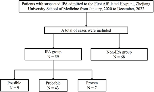 Figure 1 The flow chart of the study. The criteria of possible IPA: (1) Patients’ age ≥18; (2) immune insufficiency (such as congenital immunodeficiency, long-term glucocorticoid treatment (glucocorticoid treatment time ≥3 weeks in the past 60 days),Citation13 long-term immunosuppressive therapy after solid organ transplantation, radiotherapy and chemotherapy for malignant tumors, etc) or others with emerging risk factors of IPA, such as end-stage COPD, liver cirrhosis, etc; (3) The time for appearance of suspected clinical symptoms or abnormal imaging manifestations of IPA was ≤1 month; (4) abnormal infiltrative manifestations in pulmonary CT images. On the basis of the possible IPA, proven IPA criteria should also meet: histopathological evidence or positive culture result from sterile environment (excluding BALF), probable IPA criteria should meet: mycologic evidence such as GM test, positive culture result (qualified specimen from sputum, BALF, bronchial brush), Aspergillus PCR, etc.