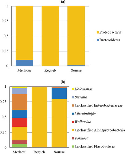 Figure 2. Relative abundance of bacterial groups at the phylum level (a) and most represented genera (b) within the digestive tract of P. pruinosus.