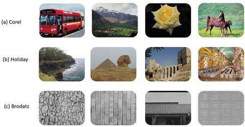 Figure 7. Samples from corel, holiday, and brodatz image datasets