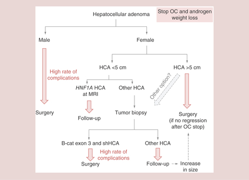 Figure 5. Algorithm for the treatment of hepatocellular adenoma based on molecular classification.We propose an algorithm for treatment of HCA based on our knowledge of molecular classification.HCA: Hepatocellular adenoma; OC: Oral contraception; shHCA: Sonic hedgehog hepatocellular adenoma.