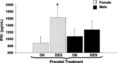 FIG. 3. Secreted IFNγ levels after 24 hour stimulation with ConA. C57BL/6 mice were exposed to either DES (0.25 μg) (nfemale = 7, nmale = 11) or oil (nfemale = 10, nmale = 8) during prenatal development. At 1 year of age, all mice were given 30 μg DES/kg BW. Two months later, mice were euthanized to collect splenocytes. Splenocytes were cultured with an optimal concentration of ConA (10 μg/ml). The supernatants were collected after 24 hours of culture and analyzed for IFNγ levels by ELISA. Mean data are represented in pg/ml ± SEM. Differences between gender and prenatal treatments were considered significant when p < 0.05. a denotes significant difference between females given DES and females given oil prenatal treatment.