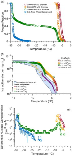 Figure 6. (a) Frozen fraction temperature spectra from singular droplet arrays containing varying quantities of Snomax bacterial particles. Orange and red symbols represent suspensions of Snomax in filtered water. Green symbols represent a highly dilute suspension of Snomax, and the filtered water background spectrum is in blue. (b) Ice nucleation active site density (nm) of Snomax bacterial particles normalized by particle mass concentration in the droplets, obtained from 6 nL droplets in the static microfluidic droplet array. The data from the microfluidic device are shown with square symbols for three different wt% of Snomax and are overlaid with results previously reported by Wex et al. (Citation2015) for Snomax using several different immersion freezing methods. For comparison, results previously reported by Polen, Lawlis, and Sullivan (Citation2016) using our conventional cold plate for a similar total particle mass per droplet are plotted with cross symbols (+), and results from microfluidic-produced droplets reported by Tarn et al. (Citation2018) were plotted as purple asterisk (*). (c) The frozen fraction curves for Snomax and the 6 nL filtered water background were converted to the differential nucleus concentration (k(T)) spectrum, using EquationEquation (4)(4) kT =−1VΔTln⁡1−ΔNN(4) and ΔT = 0.5 °C.