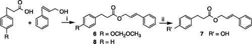 Scheme 2 Synthesis of compounds 6–8. Reagents and conditions: (i) DCC, CH2Cl2, rt, 5 min; DMAP, rt, 12 h (ii) 10% HCl, CH3OH, reflux.