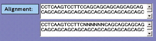 Figure 11. Output of the application near polyQ tracts of Homo sapiens huntingtin hunt1 to Homo sapiens huntingtin hunt3 partial cds alignment.