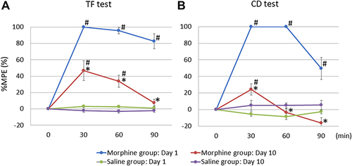 Figure 3 Results of the morphine challenge tests on days 1 and 10 (Experiment 1) in the tail-flick test (A) and colorectal distension test (B). Time course effects on percentage maximal possible effect (%MPE) after 5 mg/kg morphine or saline subcutaneous injection on days 1 and 10 are presented. The %MPE was significantly lower on day 10 than that on day 1 in both the tests in the morphine group, whereas the saline subcutaneous injection did not change in either test.