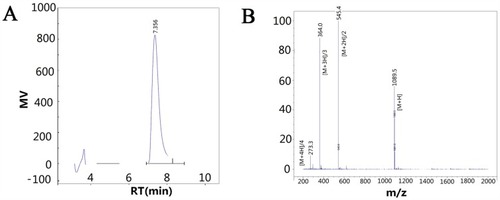 Figure 2 The data of high-performance liquid chromatography (HPLC) and mass spectra (MS).
