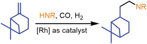 Figure 31. A scheme of terpenes hydroaminomethylation using β-pinene as an example.