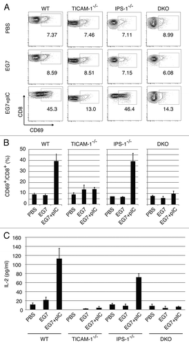 Figure 3. CD8 T cells in the draining LNs are activated through the TICAM-1 pathway by polyI:C. Draining inguinal LNs were harvested from tumor-bearing mice 24 h after the last treatment. LN cells were stained with CD3ε, CD8α and CD69, and the cells gated on CD3ε+CD8α+ are shown (A). Spleen cells in each group of mice were stained separately, the CD8 levels in gated cells being variably distributed in FACS analyses. The average frequency of activated CD8 T cells defined by CD69 expression is shown (B). Alternatively, LN cells from the indicated mice were cultured for further 3 d in vitro and IL-2 production was measured by CBA assay (C).