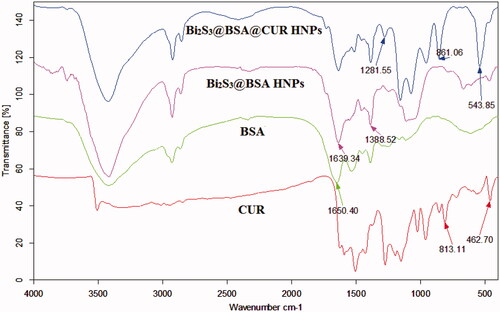 Figure 3. FTIR Spectra of BSA, CUR, Bi2S3@BSA HNPs and Bi2S3@BSA@CUR HNPs.