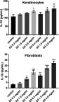 Figure 2 Flow cytometric analysis of population keratinocyte and fibroblast cells treated for 24 h with 2nd and 3rd generation PAMAM dendrimers (0.3 mg/mL, 1.5 mg/mL and 3.0 mg/mL) for IL-1β. Mean percentage values from three independent experiments (n=6) done in duplicate are presented. *p<0.05 vs the control group, **p<0.01 vs the control group, ***p<0.001 vs the control group.