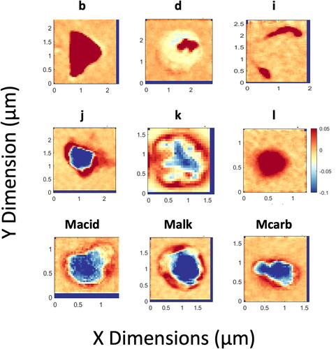 Figure 5. Total carbon map for representative particles from each cluster category shown in Figure 3. For each image, the red-blue color scale shown is the relative carbon absorption. Red denotes the maximum carbon absorption and blue denotes the minimum carbon absorption. Types labeled as b, d, i, j, k, and l were identified by Takahama et al. (Citation2007). Dark blue rectangular regions on edges indicate fraction of image omitted by alignment.