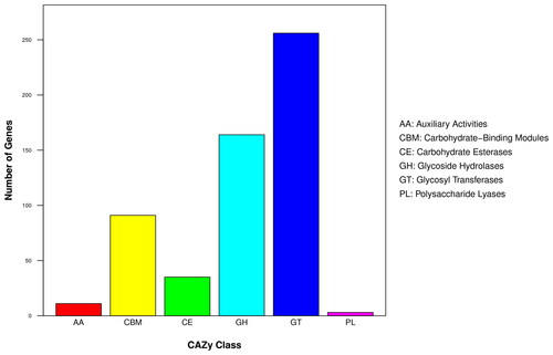 Figure 4. Gene distribution of CAZy family in the B. velezensis BA-26 genome.