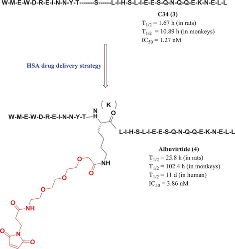 Figure 2. Discovery of albuvirtide via HSA drug delivery strategy.