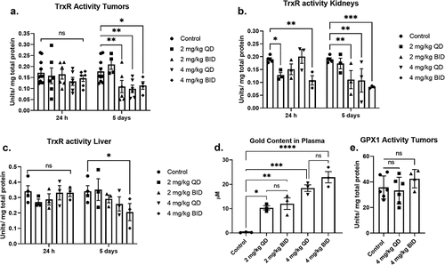 Figure 2. Dose escalation of AF selectively decreases TrxR activity in SCLC xenografts, kidneys, and liver but does not affect Gpx1 activity. (a, b, c) Female athymic nude mice (6 per group) were xenografted with 5 × 106 DMS273 cells (2 tumors/mouse one on each flank) and given AF IP injections for 24 h or 5 d either QD or BID. Kidney, liver, and tumor samples were collected for TrxR activity. (d) Plasma samples were collected 9 h after the final BID dose (5 d of therapy), and gold content was determined. (e) Gpx1 activity was determined in xenograft tumors after 5 d of AF therapy. * = p-value <.05, ** = p-value <.01, *** = p-value <.001. Analyzed by mix-effects ANOVA with Fishers LSD comparisons.
