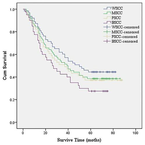 Figure 3 Comparison of survival curves between patients with esophageal BSCC and esophageal SCC (BSCC vs WSCC, P = 0.045; BSCC vs MSCC, P = 0.191; BSCC vs PSCC, P = 0.331).