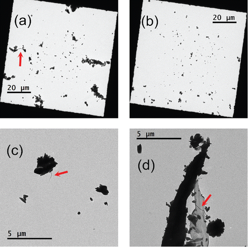 Figure 6. TEM images of collected paper particles on grid: (a) and (b) overview of particles on two grid spaces; (c) and (d) various shapes of paper particles. Fibrous particles are marked with arrows (red).