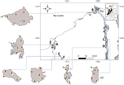 Figure 1. Geographical location of wetlands and sampling points in the Atlántico Department. A. Totumo (TM); B. Mallorquín(MQ); C. Sabanagrande (SG); D. La Larga-Luisa (LL); E. Tocagua (TG); F. Luruaco (LU).