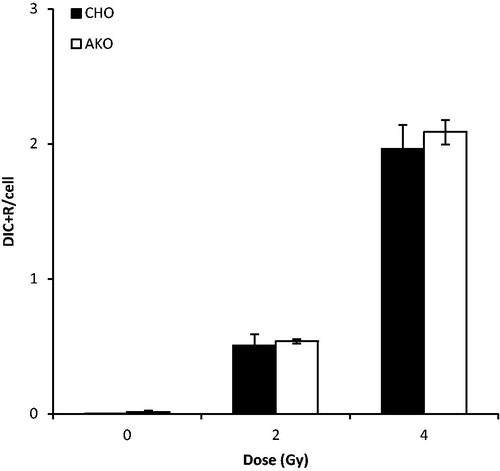 Figure 3. Validation of mitotic Akodon cell-induced PCC. PCCs were obtained from the fusion of human peripheral blood samples, exposed in vitro to γ-radiation, with Akodon or CHO cells. Dicentric and ring chromosomes were counted after T/C PNA staining. The observed difference was not statistically significant (p > 0.05).