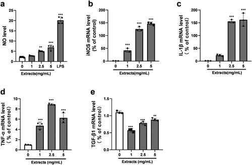 Figure 5. Effects of the extracts on the expression of inflammatory mediators in RAW264.7 cells. Cells were treated with different concentrations of extracts (1, 2.5 and 5 mg/mL) for 6 h. The expression level of NO(a) was measured by a nitric oxide assay kit. The mRNA expression of iNOS (b), IL-1β(c), TNF-α (d), TGF-β1 (e), was measured by RT-qPCR. Data were expressed as the mean ± SD (n = 3). *p ≤0 .05; ∗∗∗p ≤0.001 versus 0 mg/mL group. SD: standard deviation; iNOS: inducible nitric oxide synthase; TNF-α: tumour necrosis factor; IL: interleukin; TGF-β1: transforming growth factor-β1; messenger RNA: mRNA.