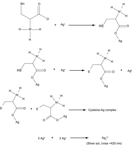 Figure 8 Proposed reaction mechanism for the formation of Ag–cysteine complex.