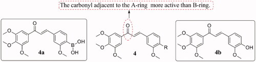 Figure 4. Simple chalcone compounds of 4.