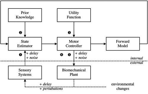 Figure 3. Optimal feedback-control loops (Körding & Wolpert, Citation2006, p. 323; Todorov, Citation2004, p. 910; combined and modified by the authors) with indication of mechanisms (1)–(5) for handling uncertainty in sensorimotor control: (1) multisensory integration, (2) prior-knowledge integration,(3) risk optimisation, (4) redundancy exploitation, and (5) impedance control.