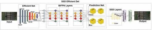 Figure 6. Design of deep neural network model of SSD EfficientDet.