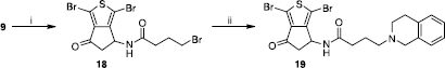 Scheme 5 Synthesis of compound 19. Reagents: (i) TEA, BrCO(CH2)3Br, CH2Cl2; (ii) 1,2,3,4-tetrahydroisoquinoline, K2CO3, CH2Cl2.