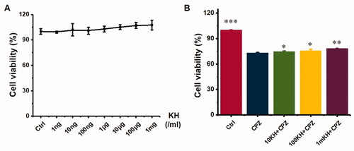 Figure 3. Toxicity test and protective effect of kuhuang injection extract on chlorpromazine-induced HepG2 cell injury. (A) Different concentrations of kuhuang injection extract (1 ng/mL,10 ng/mL, 100 ng/mL, 1 μg/mL, 10 μg/mL, 100 μg/mL, and 1 mg/mL) on cell viability. (B) Protective effect of kuhuang injection extract on chlorpromazine-induced HepG2 cell injury. *p < 0.05, **p < 0.01, ***p < 0.001, compared to the 2D CPZ group.