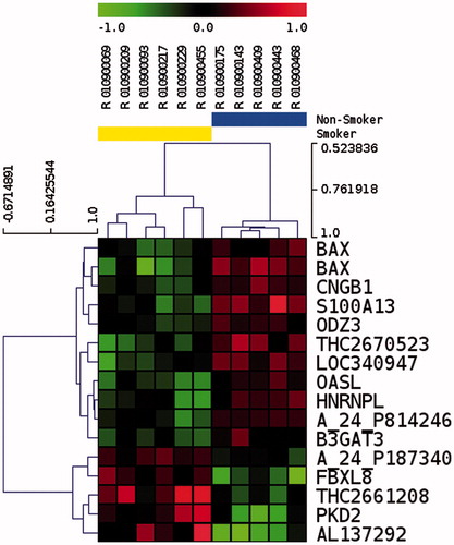 Figure 2. Unsupervised hierarchical clustering of 15 differentially represented transcripts in spermatozoa after p value filtering of t test (p < 0.01) on six smokers and five non-smokers. Smoker samples are identified by the yellow bar and are located on the left of the cluster. Heatmap representation of over represented (red) and under represented (green) genes. The color scale bar indicates Log2 ratio of intensities.
