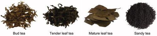 Figure 1. Four kinds of common hawk teas.