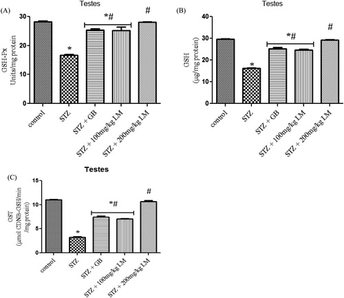 Figure 3. Effects of L. micranthus on activities of GSH-Px (A), GSH (B) and GST (C) in control and STZ-induced diabetic rats. Each bar represents mean ± SEM of eight rats. *p < 0.05 compared to control. #p < 0.05 compared to diabetic control group. STZ, 60mg streptozotocin; STZ + GB, 60 mg STZ + 5 mg Glibenclamide; STZ + 100 mg, 60 mg STZ + 100 mg LM extract; STZ + 200 mg, 60 mg STZ + 200 mg LM extract.